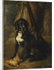 A Gun Dog with a Woodcock, 1842 by William Hammer