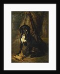 A Gun Dog with a Woodcock, 1842 by William Hammer
