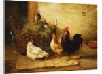 Poultry and Pigeons in an Interior, 1881 by Walter Hunt