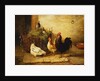 Poultry and Pigeons in an Interior, 1881 by Walter Hunt