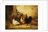 Poultry and Pigeons in an Interior, 1881 by Walter Hunt