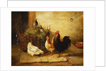 Poultry and Pigeons in an Interior, 1881 by Walter Hunt
