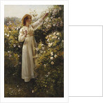 Wild Rose, 1908 by Robert Payton Reid