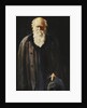 Portrait of Charles Darwin, standing three quarter length, 1897 by John Collier