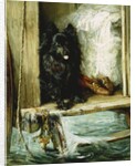 Left in Charge - A Black Pomerain on the Steps of a Bathing Machine by Philip Eustace Stretton