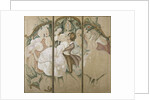 The Pigboy and the Princess by Gerda Marie Frederike Wegener