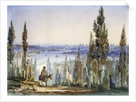 Constantinople from Eyub by Amadeo Preziosi