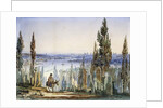 Constantinople from Eyub by Amadeo Preziosi