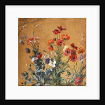 Poppies, Irises and Blossom by Jean Benner