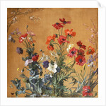 Poppies, Irises and Blossom by Jean Benner