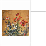 Poppies, Irises and Blossom by Jean Benner