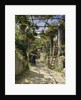 In the Shadow of an Italian Pergola, A Warm Afternoon in Anacapri, 1884 by Peder Monsted