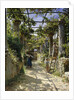 In the Shadow of an Italian Pergola, A Warm Afternoon in Anacapri, 1884 by Peder Monsted