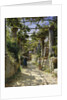 In the Shadow of an Italian Pergola, A Warm Afternoon in Anacapri, 1884 by Peder Monsted
