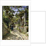 In the Shadow of an Italian Pergola, A Warm Afternoon in Anacapri, 1884 by Peder Monsted