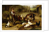 A Boy with Poultry and a Goat in a Farmyard, 1903 by Charles Hunt