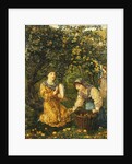 Gathering Apples, 1881 by Thomas Matthews Rooke