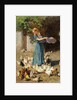 Feeding the Chickens by Luigi Rossi
