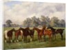 A Group of Polo Ponies, Dainty, Gold, Redskin, Miss Edge, and Piper, the Property of Sir Humphrey de Trafford, Bart, 1895 by Henry Frederick Lucas-Lucas