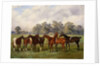 A Group of Polo Ponies, Dainty, Gold, Redskin, Miss Edge, and Piper, the Property of Sir Humphrey de Trafford, Bart, 1895 by Henry Frederick Lucas-Lucas