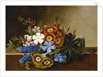 Periwinkle, Auricula and Grape Hyacinths on a Marble Ledge, 1882 by Johan Laurents Jensen