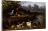 Ducks and Ducklings in a Stream by Carl Jutz