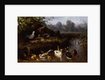 Ducks and Ducklings in a Stream by Carl Jutz