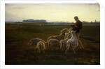 A Shepherd and his Sheep with Geese Beyond, 1896 by Carl Christian Ferdinand Wentorf