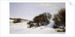 Winter Near the Sea, 1888 by Janus la Cour