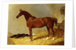 A Bay Racehorse in a Stall, 1843 by John Frederick Herring Snr