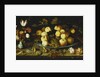 Fruit on a Dish, Flowers in a Wanli Kraak Porselein Vase, Sprigs of Cherries and Redcurrants, Seashells, a Rose, a Tulip, a Pink, a Lizard, a Snail and a Red Admiral on a Stone Ledge, Dragonflies Above by Balthasar van der Ast