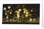 Fruit on a Dish, Flowers in a Wanli Kraak Porselein Vase, Sprigs of Cherries and Redcurrants, Seashells, a Rose, a Tulip, a Pink, a Lizard, a Snail and a Red Admiral on a Stone Ledge, Dragonflies Above by Balthasar van der Ast
