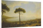 A Panoramic View of Naples, the Bay of Naples, Portici, Vesuvius, the Sorrento Peninsula and Capri from the Conocchia by Pietro Fabris