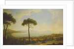 A Panoramic View of Naples, the Bay of Naples, Portici, Vesuvius, the Sorrento Peninsula and Capri from the Conocchia by Pietro Fabris