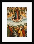 The Assumption of the Virgin by Bernardino Ferrari