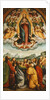 The Assumption of the Virgin by Bernardino Ferrari