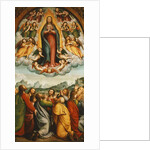 The Assumption of the Virgin by Bernardino Ferrari
