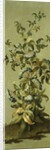 Decorative Panels with Flowers by Jean Baptiste Pillement