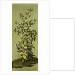 Decorative Panels with Flowers by Jean Baptiste Pillement