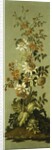 Decorative Panels with Flowers by Jean Baptiste Pillement