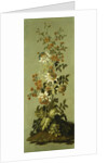 Decorative Panels with Flowers by Jean Baptiste Pillement