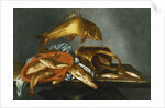 A Pike, Carp, Tench and Roach with a Sieve and a Brass Bucket on a Ledge, 1661 by Abraham Susenier