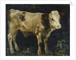 A Bull Calf, 1876 by Christian Eriksen Skredsvig