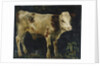 A Bull Calf, 1876 by Christian Eriksen Skredsvig