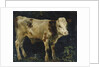 A Bull Calf, 1876 by Christian Eriksen Skredsvig