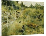 A Fox Taking a Crow; Rav Och Krakor, 1884 by Bruno Andreas Liljefors