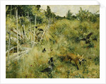 A Fox Taking a Crow; Rav Och Krakor, 1884 by Bruno Andreas Liljefors