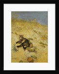 A Cat Basking in the Sun, 1884 by Bruno Andreas Liljefors