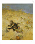 A Cat Basking in the Sun, 1884 by Bruno Andreas Liljefors