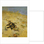 A Cat Basking in the Sun, 1884 by Bruno Andreas Liljefors